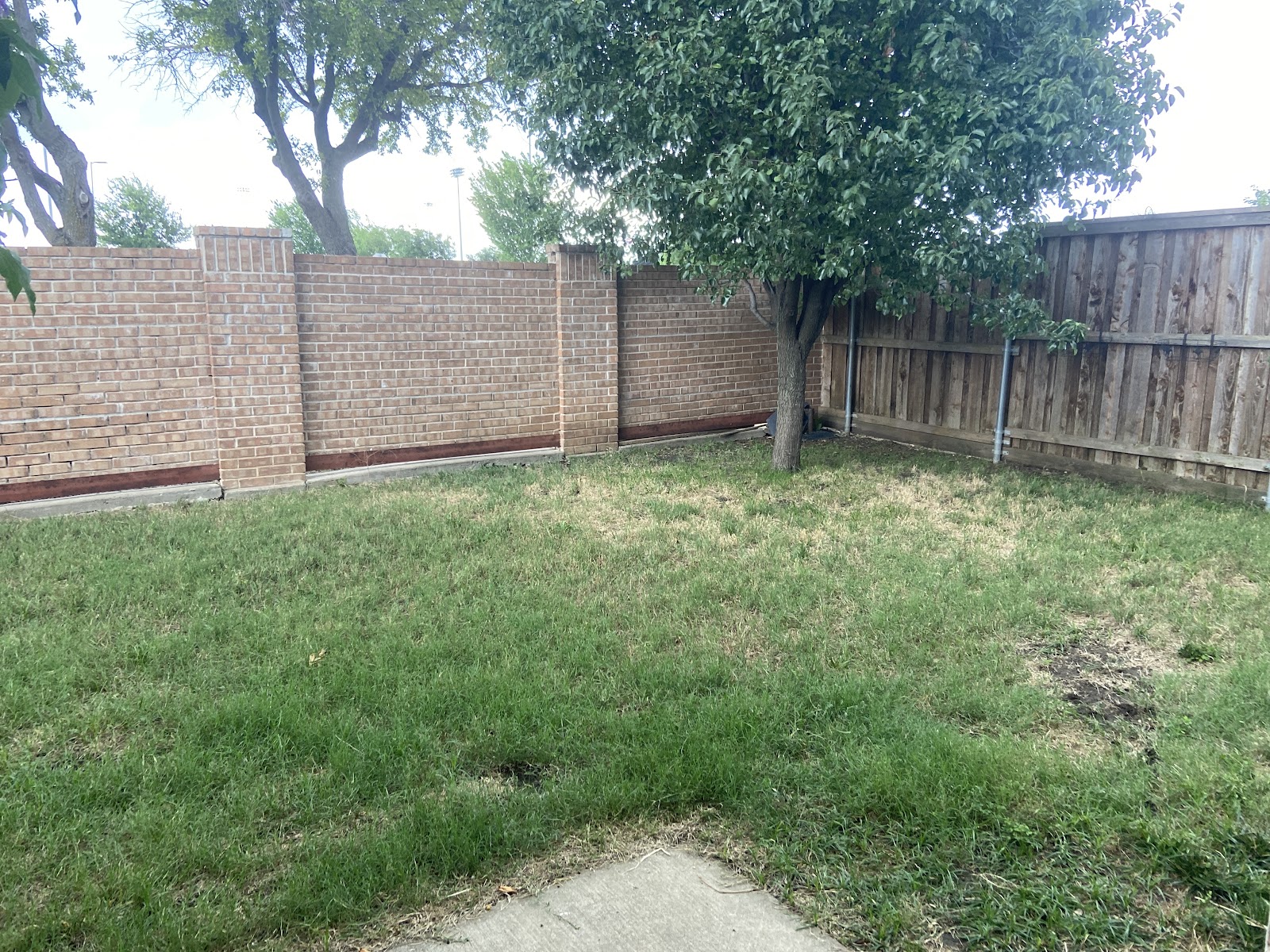 Stealth Scoopers - Photo 2