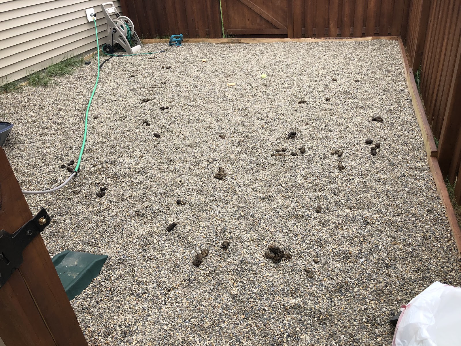 Speedy Scoop Pet Waste Removal - Photo 2