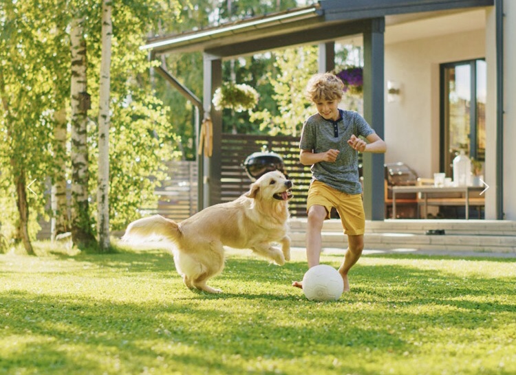 Speedy Scoop Pet Waste Removal - Photo 3