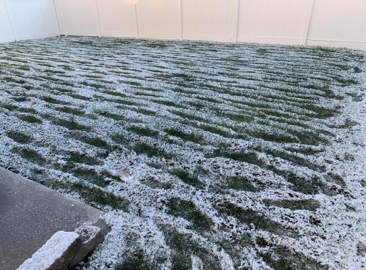 Speedy Scoop Pet Waste Removal - Photo 4