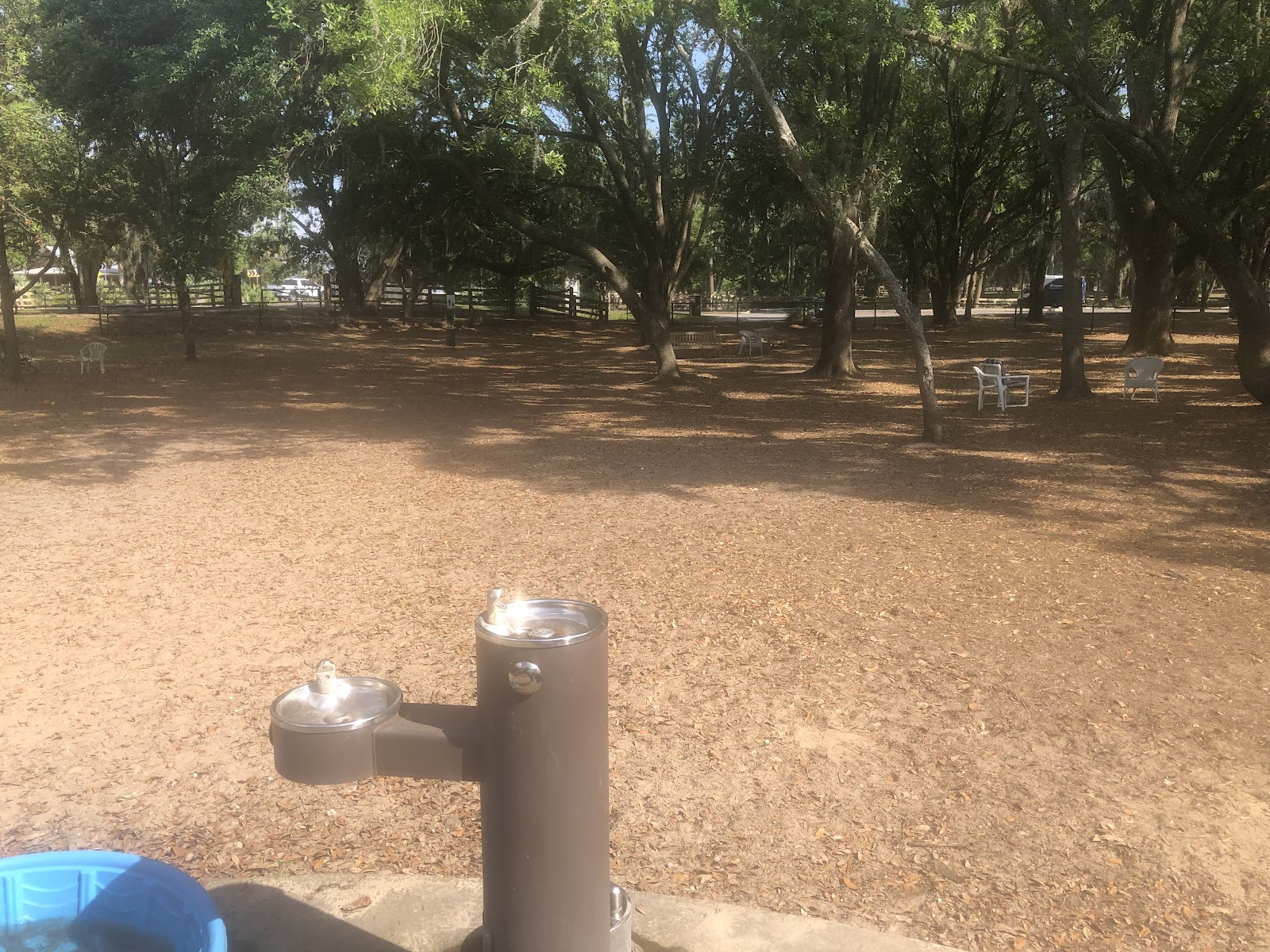 Doggy Deuce Disposal - Photo 3