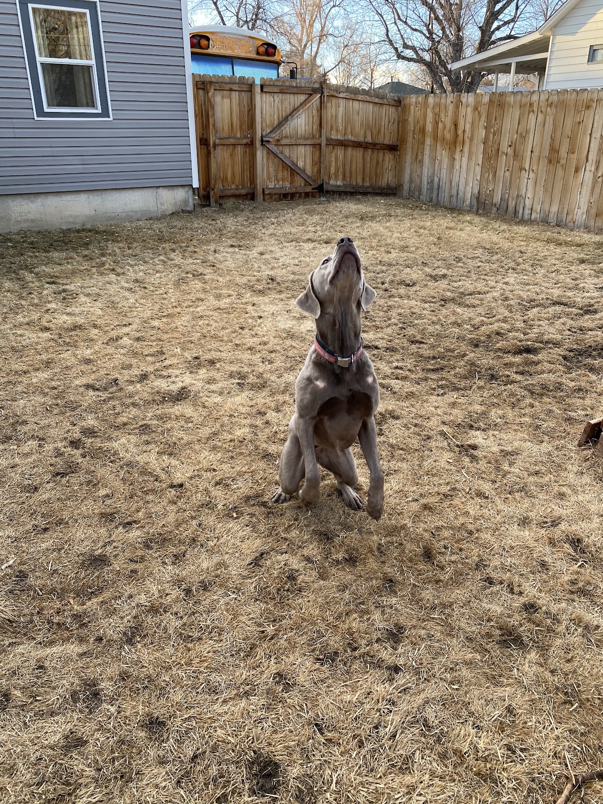 D.B. Pooper’s - Photo 2