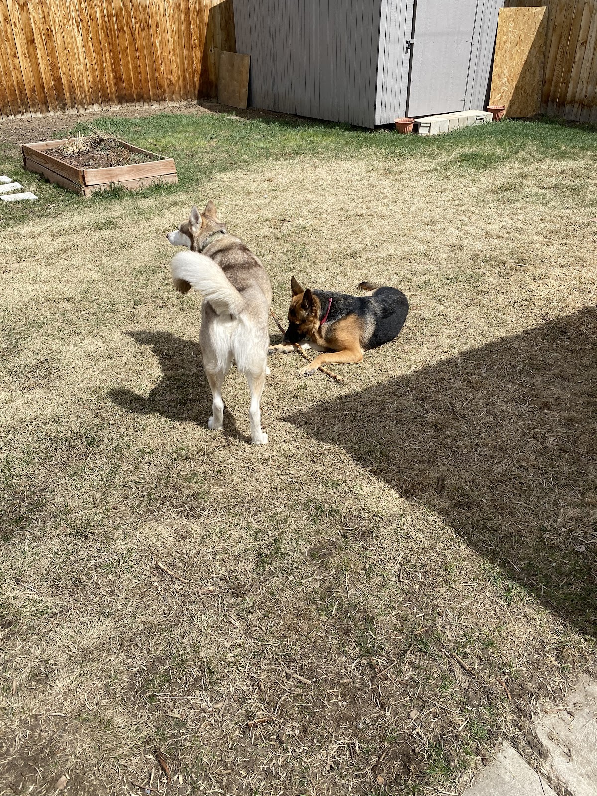 D.B. Pooper’s - Photo 3