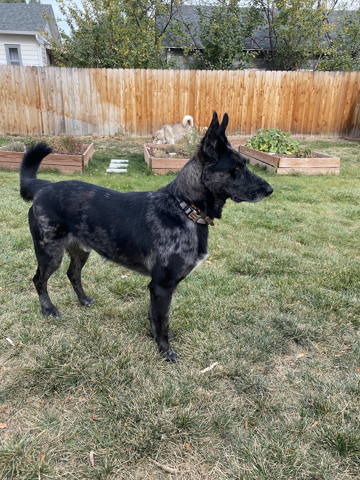 D.B. Pooper’s - Photo 4