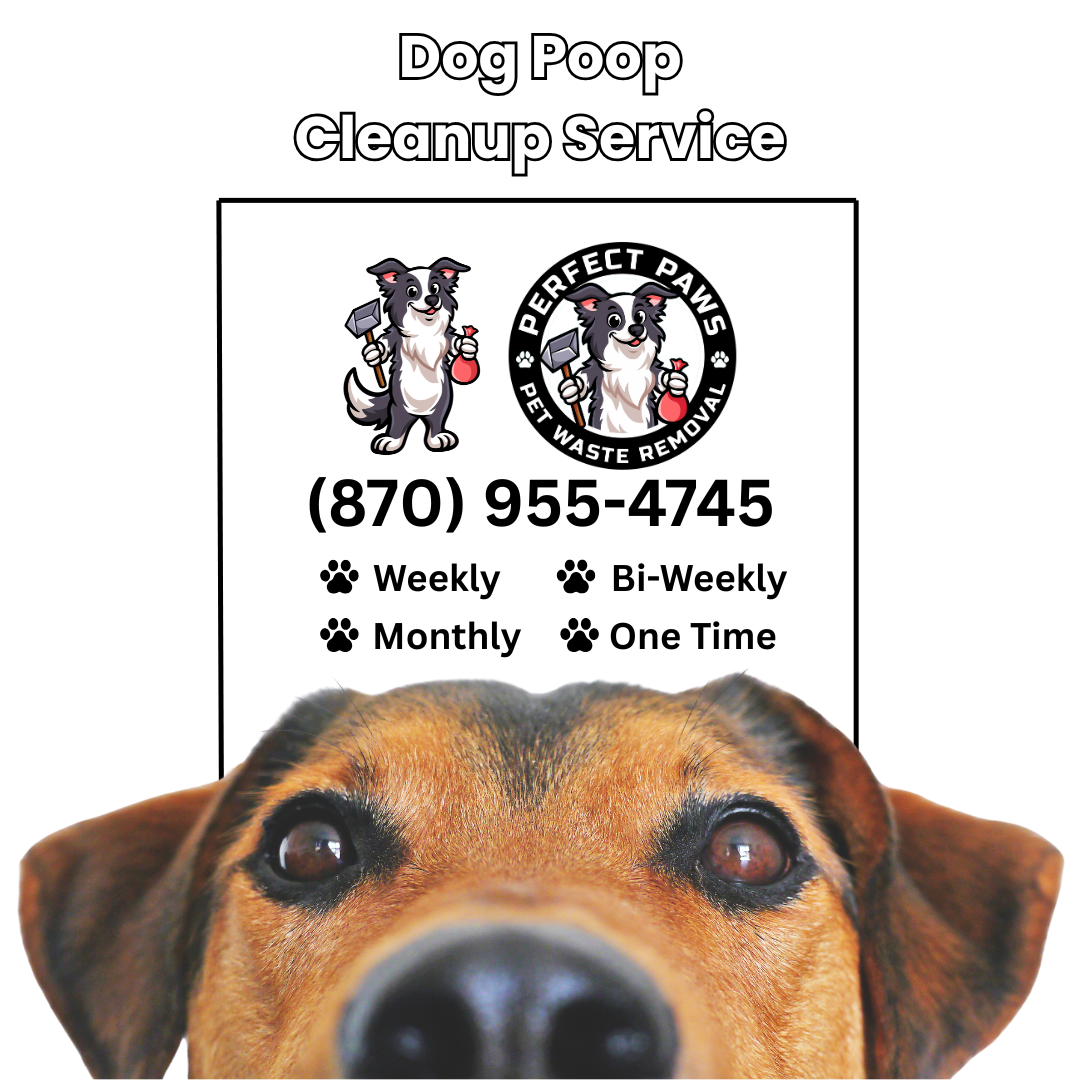 Perfect Paws Pet Waste Removal - Photo 2