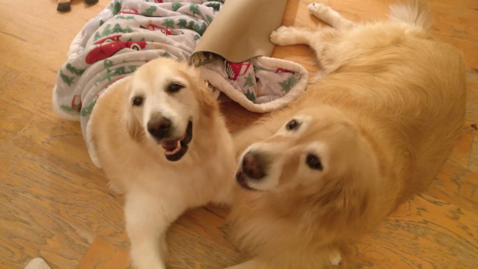 We Do The Doo - Photo 4