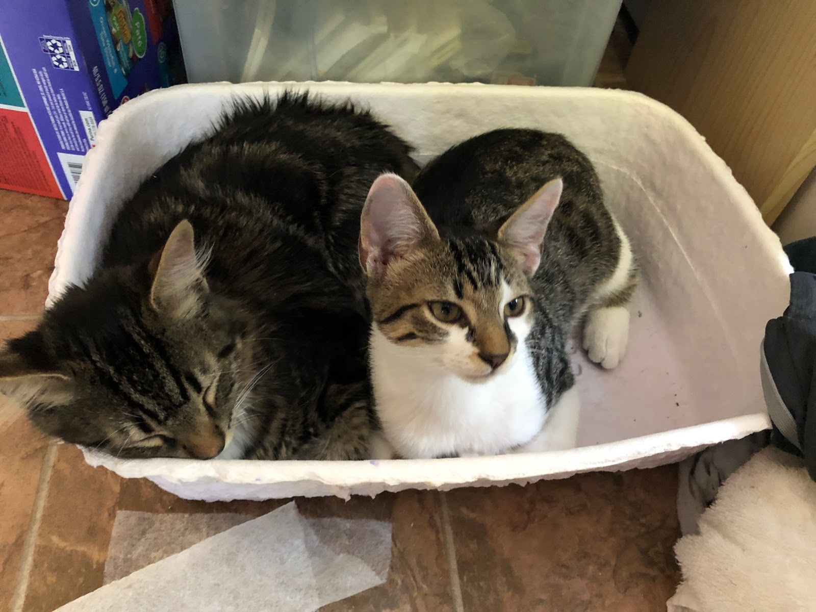 POOP 911 Cape Fear - Photo 3