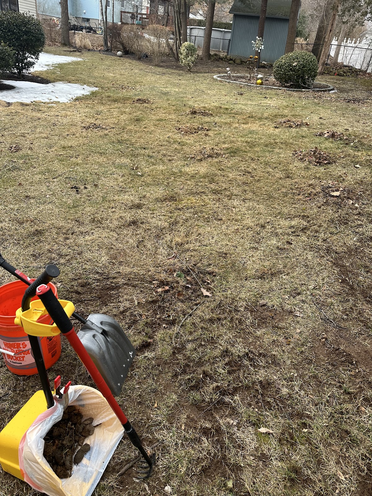 Poo Bears LLC - Photo 3