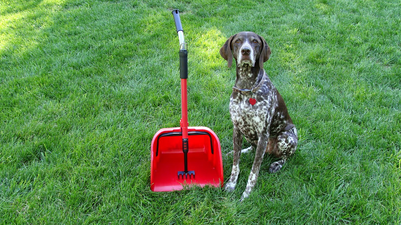 Scoops Dog Waste Clean-Up Service, Inc.