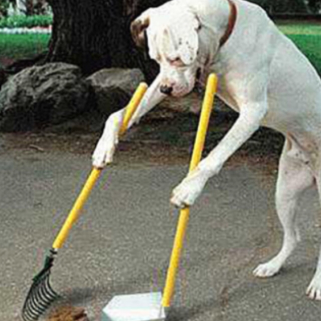 Pooanators Pooperscoopers - Photo 3