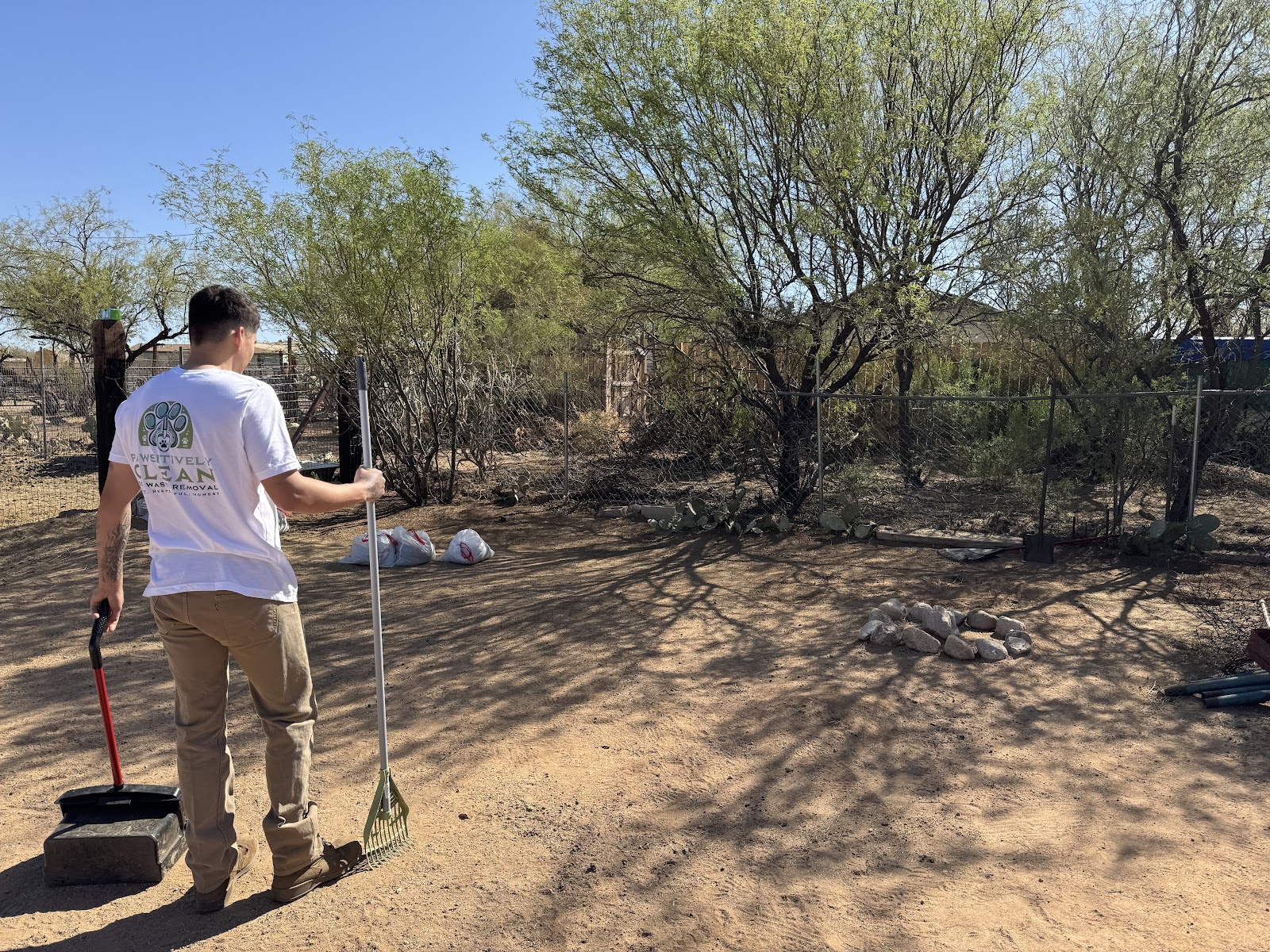 Pawsitively Clean - Photo 2