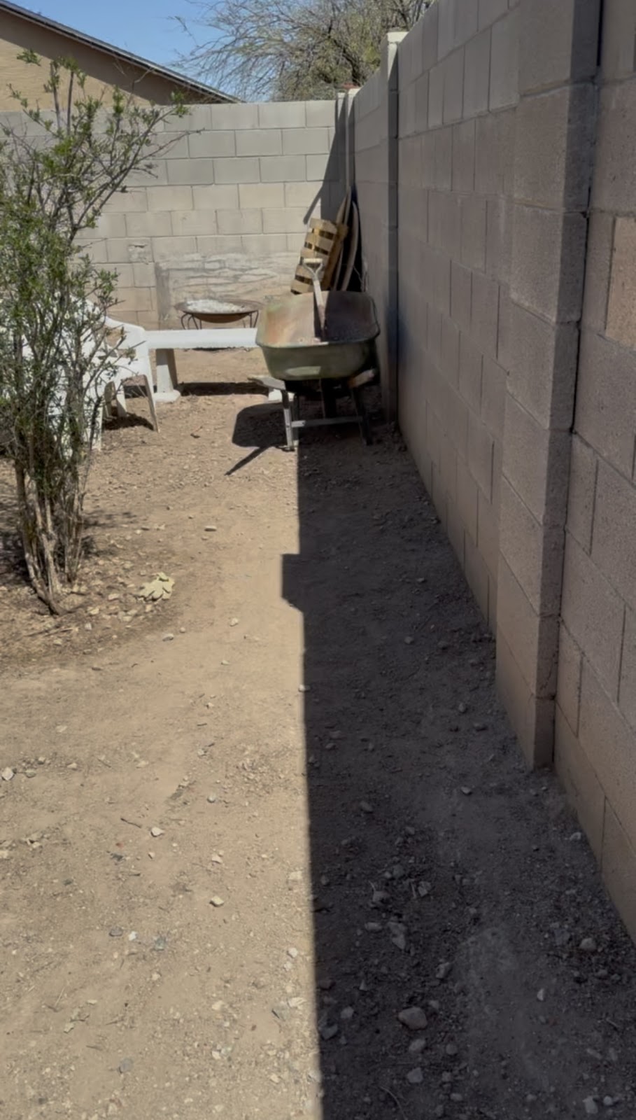 Pawsitively Clean - Photo 3