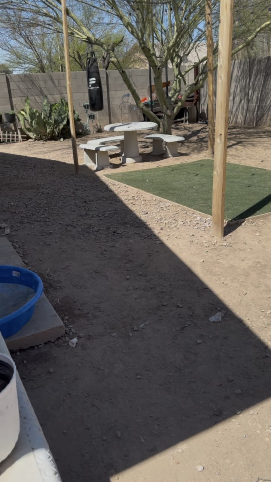 Pawsitively Clean - Photo 4