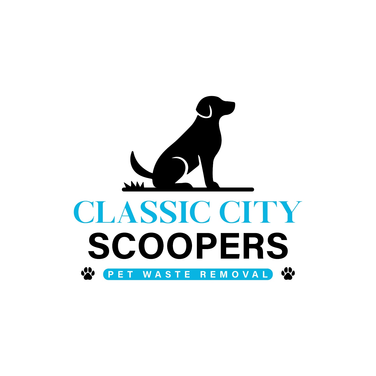 Classic City Scoopers