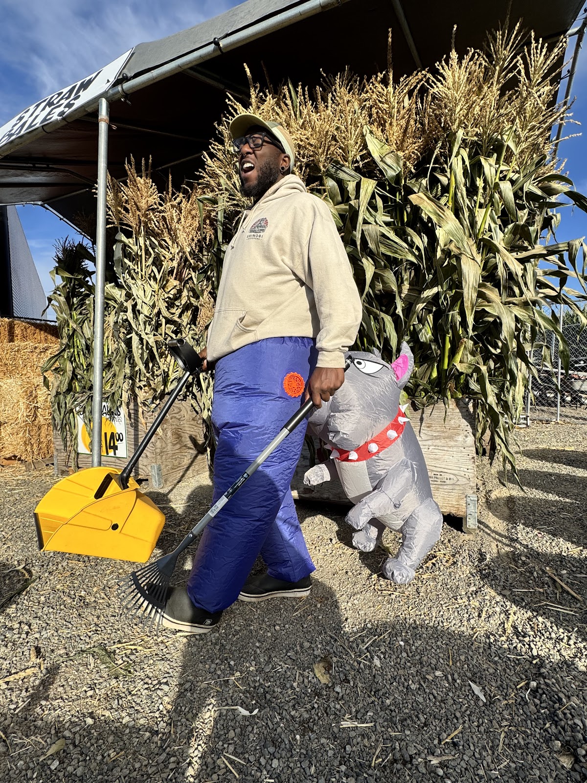 Shinobi Scoopers - Photo 2