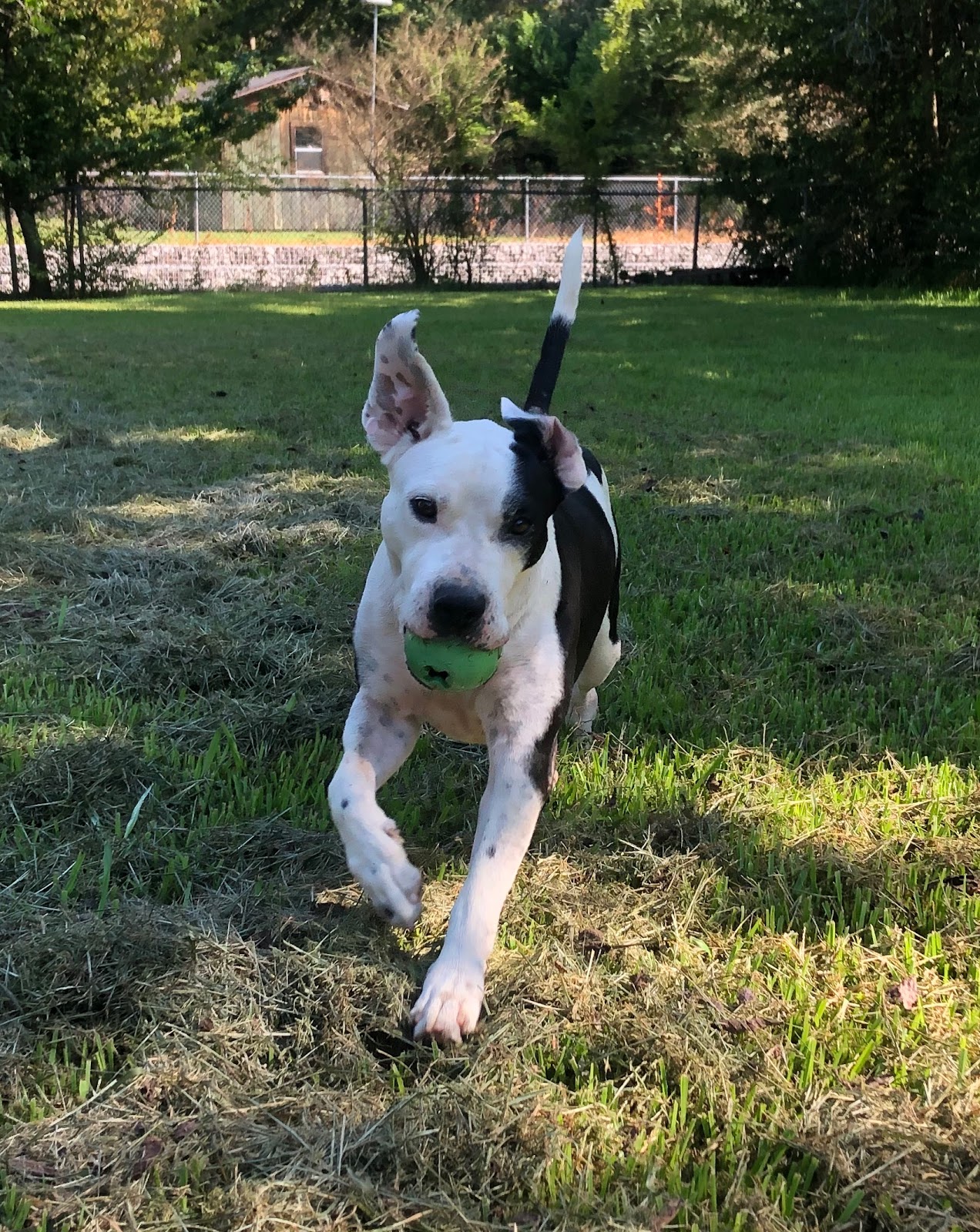 Doody Happens LLC - Photo 2