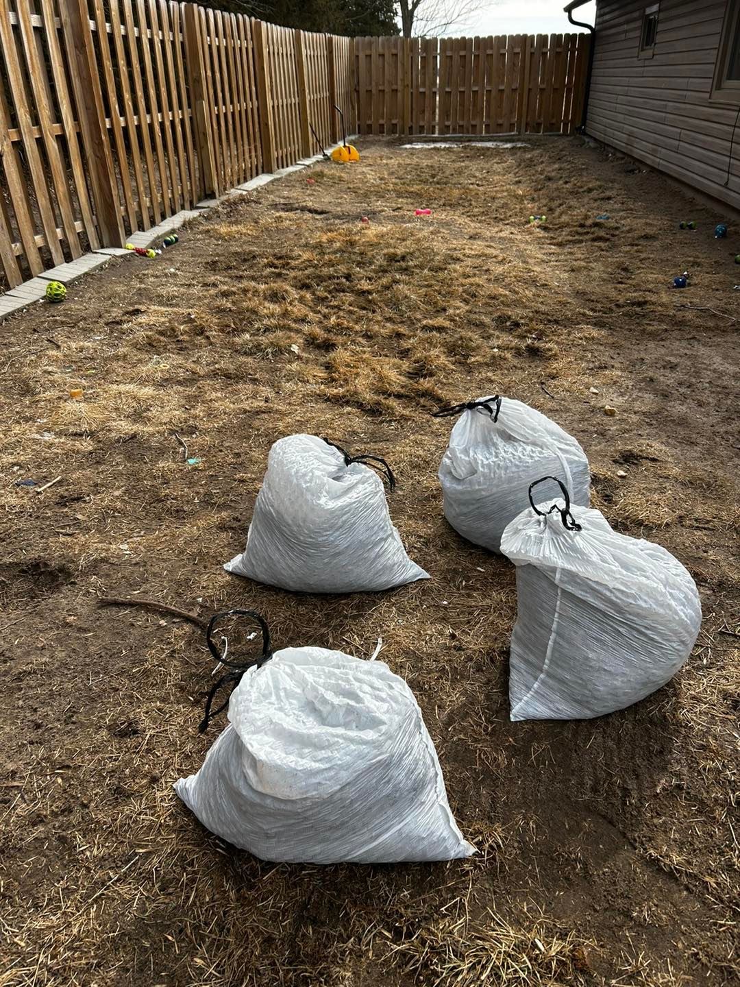 Sccopy-Doo Pet Waste Removal