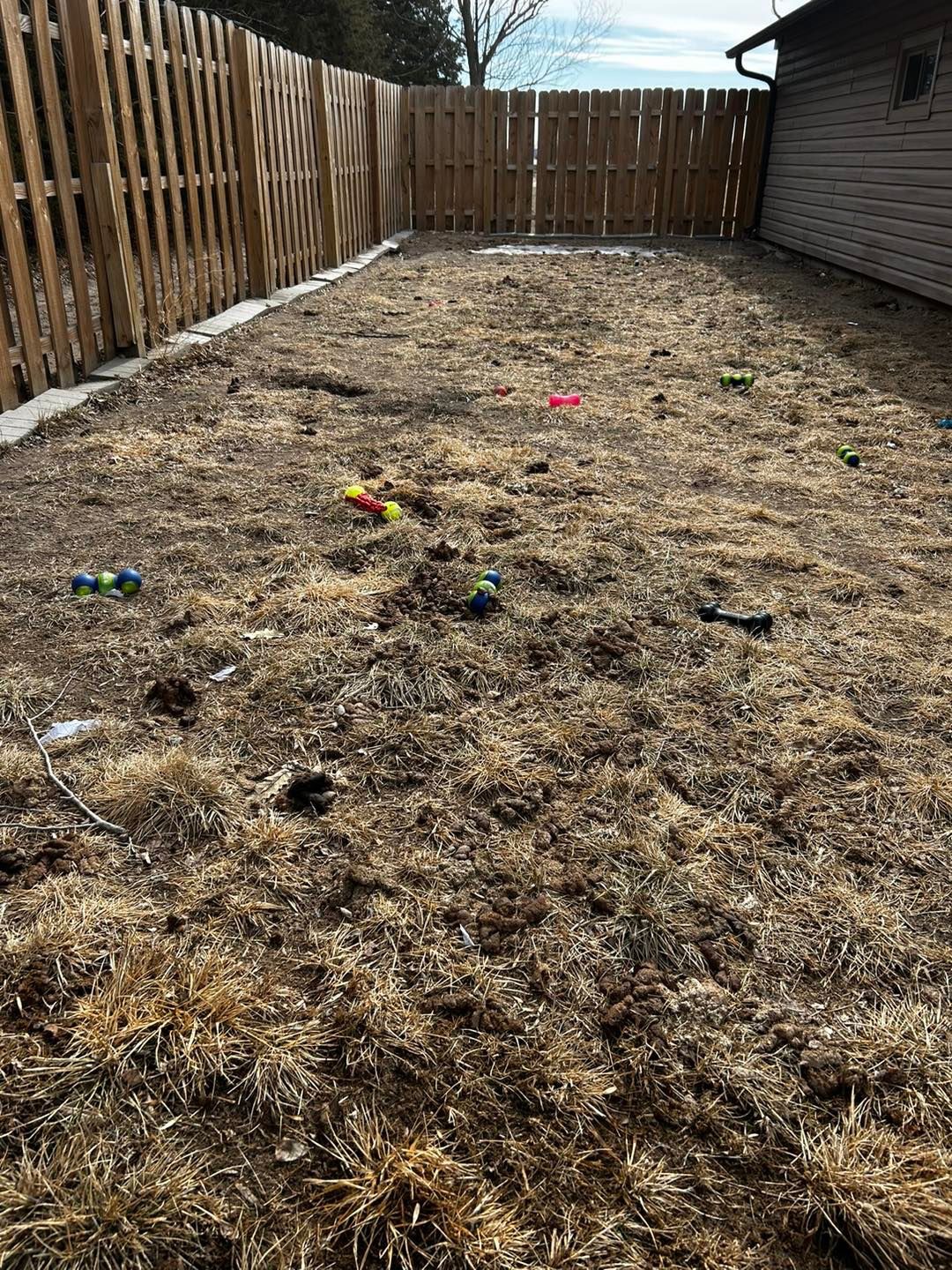 Sccopy-Doo Pet Waste Removal - Photo 2
