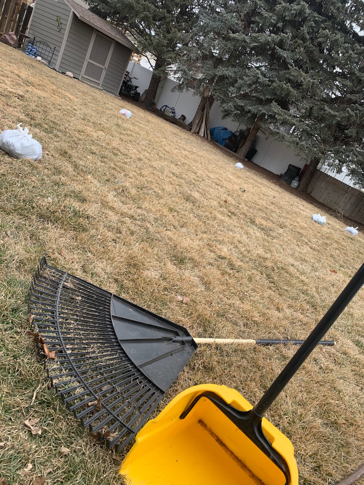 Sccopy-Doo Pet Waste Removal - Photo 3