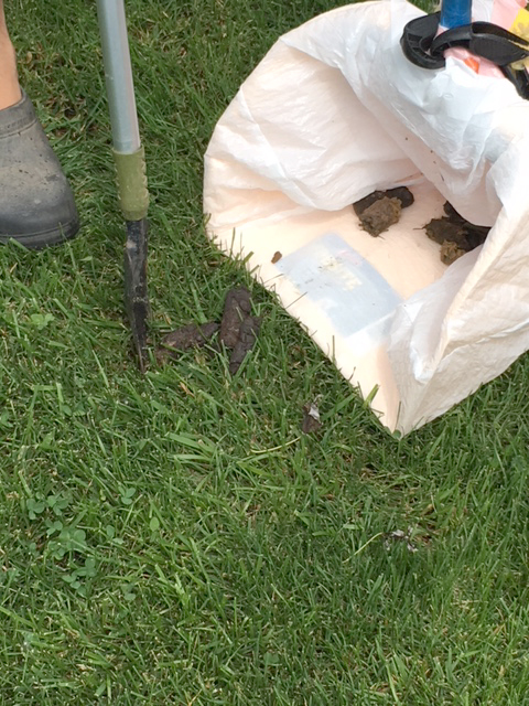 Doggy Detail - Photo 4