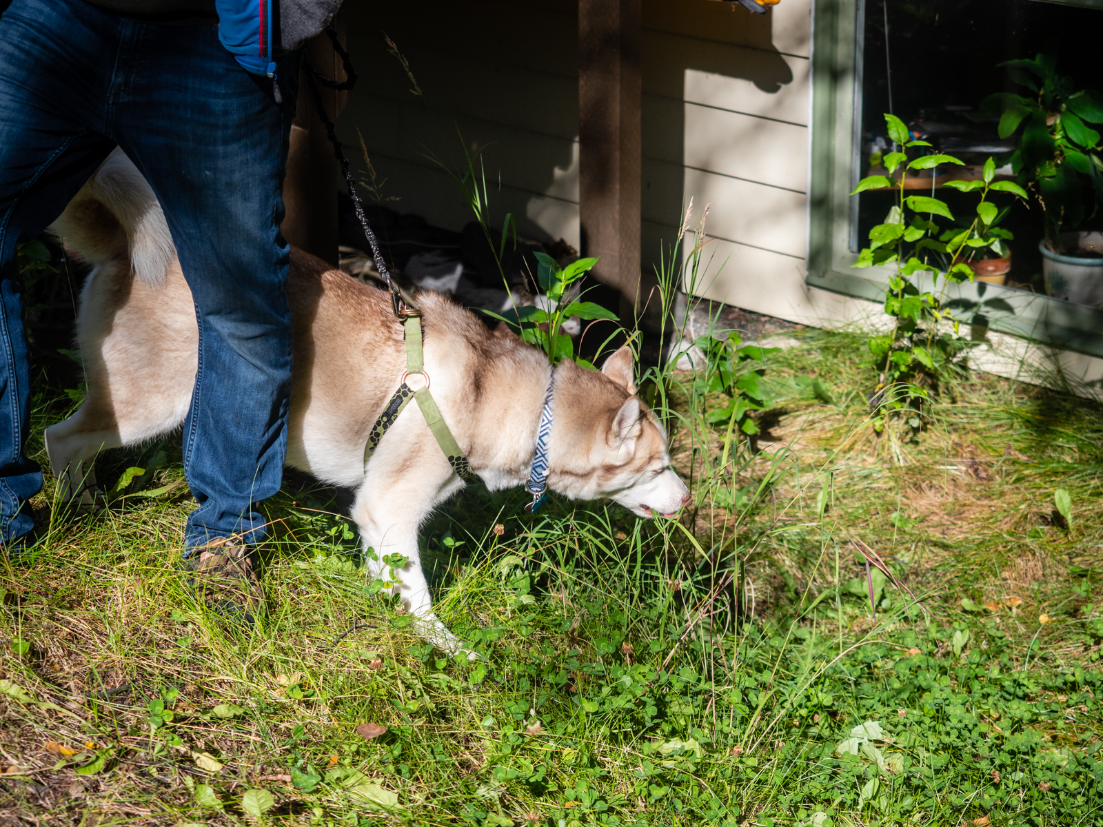 Scooper Trooper - Photo 2