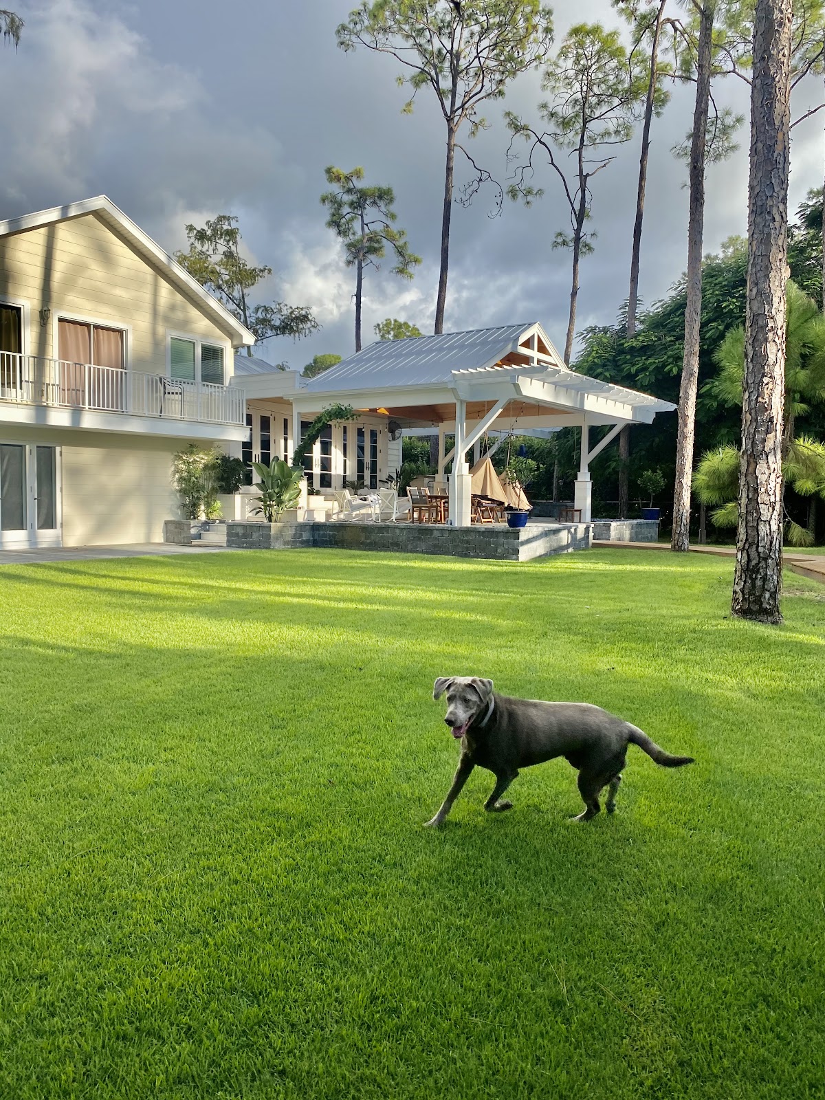 Call for Duty Pet Waste Removal LLC