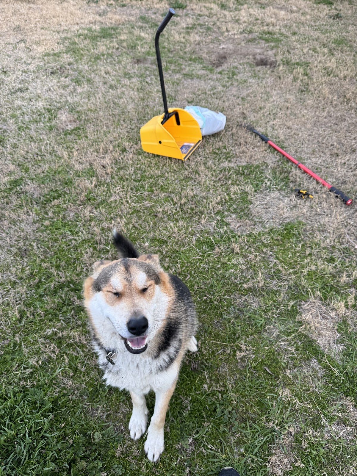 Scoop Ninjas LLC - Photo 3