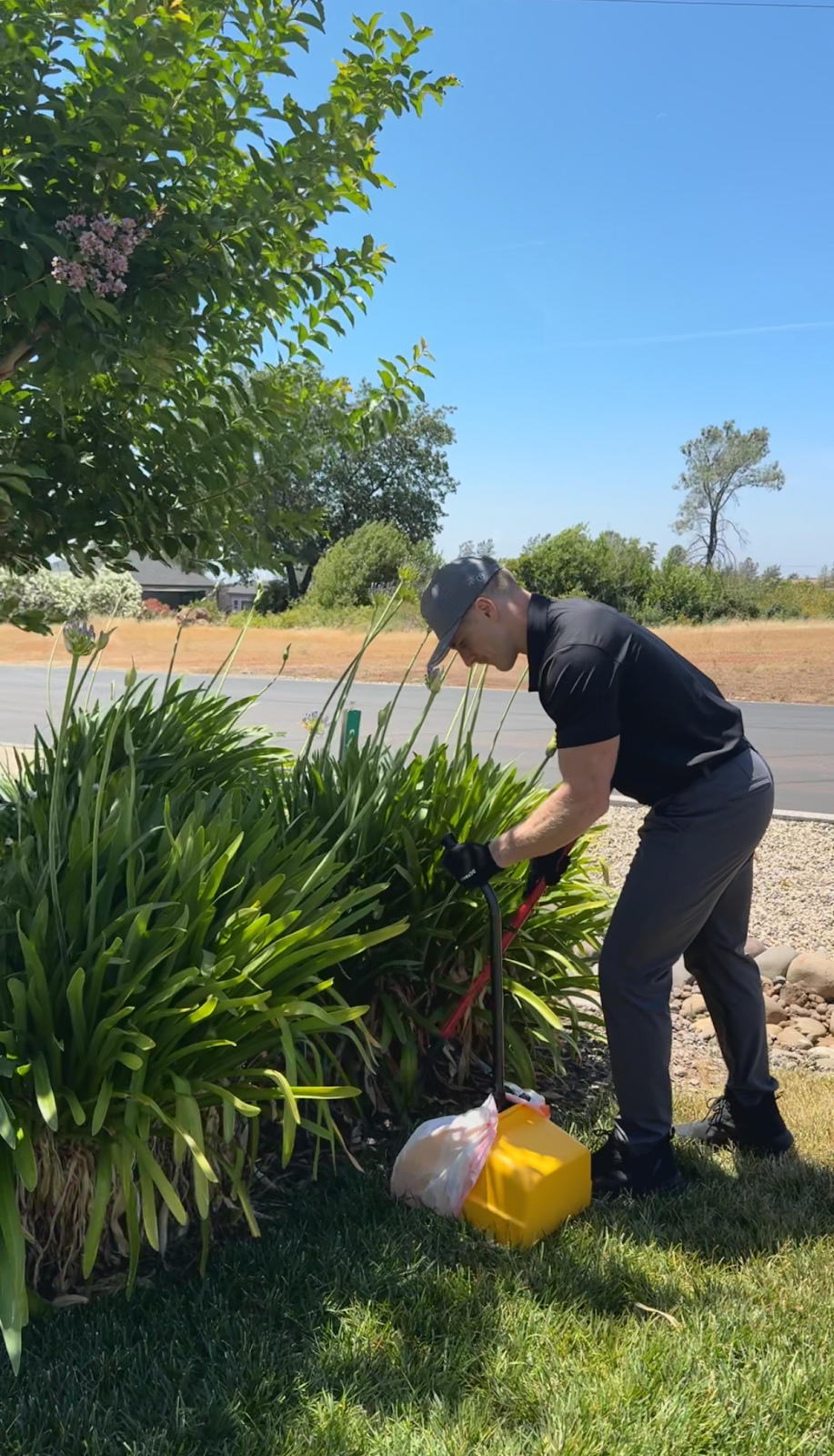 Fresh Scooper - Photo 2