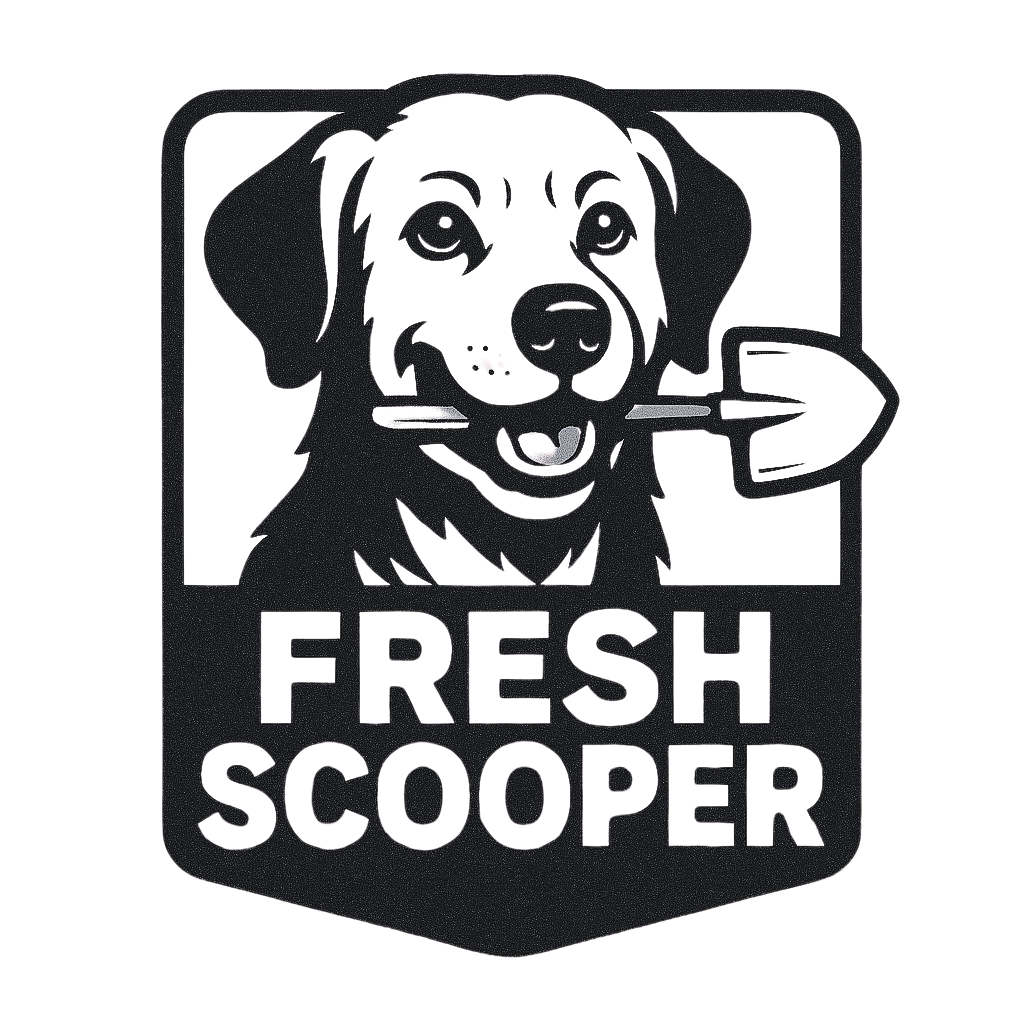 Fresh Scooper - Photo 3