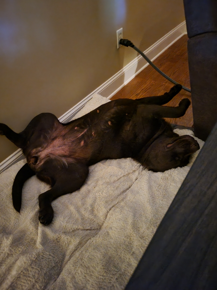 Daddy Doo Care - Photo 3