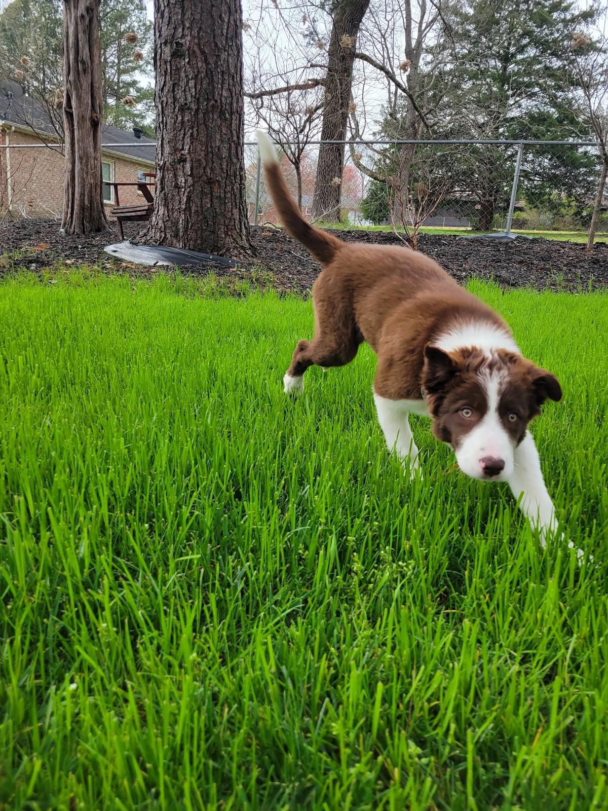 Daddy Doo Care - Photo 4