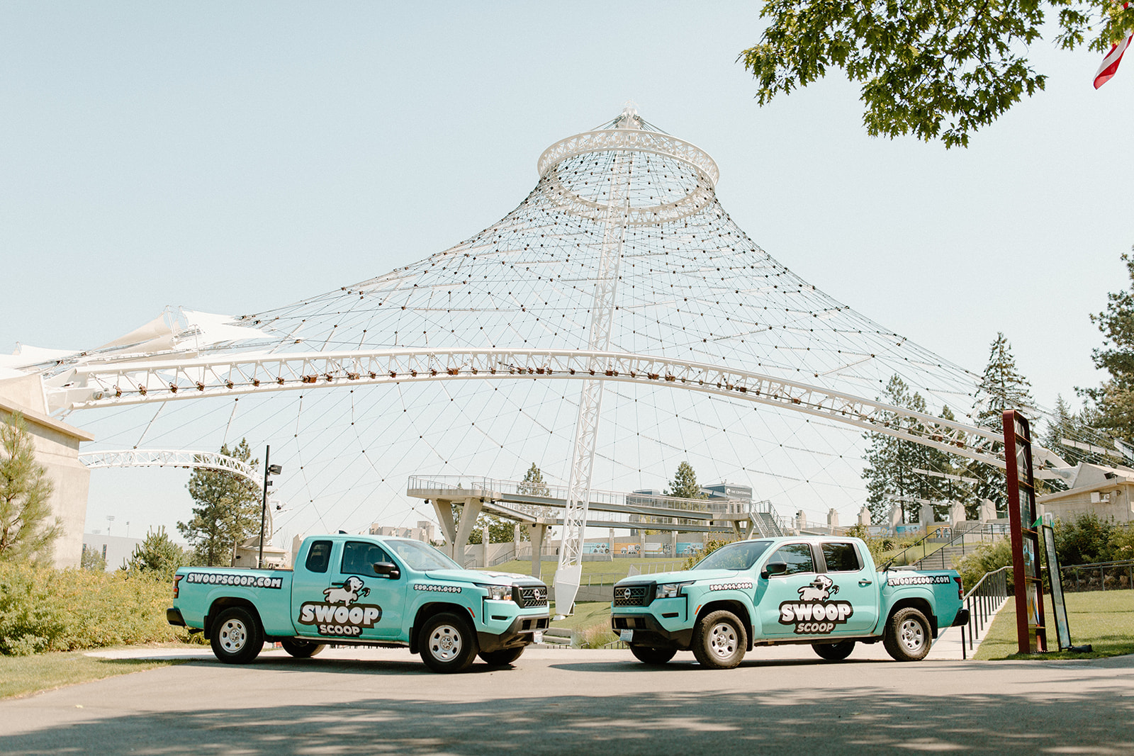 Swoop Scoop - Photo 3