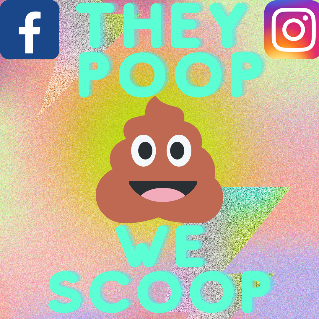 Pet Waste and Yard Space - Photo 3