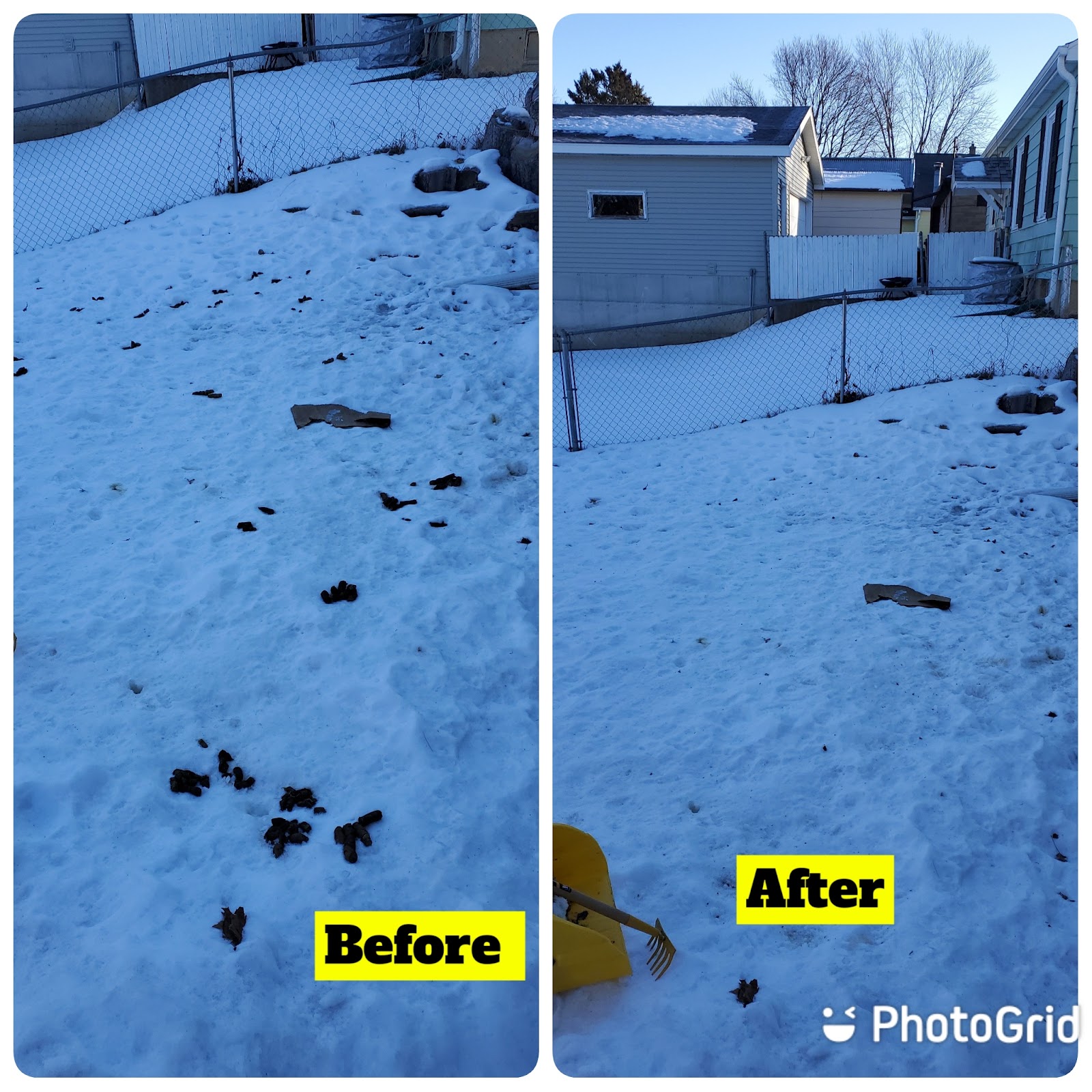 Pet Waste and Yard Space - Photo 4