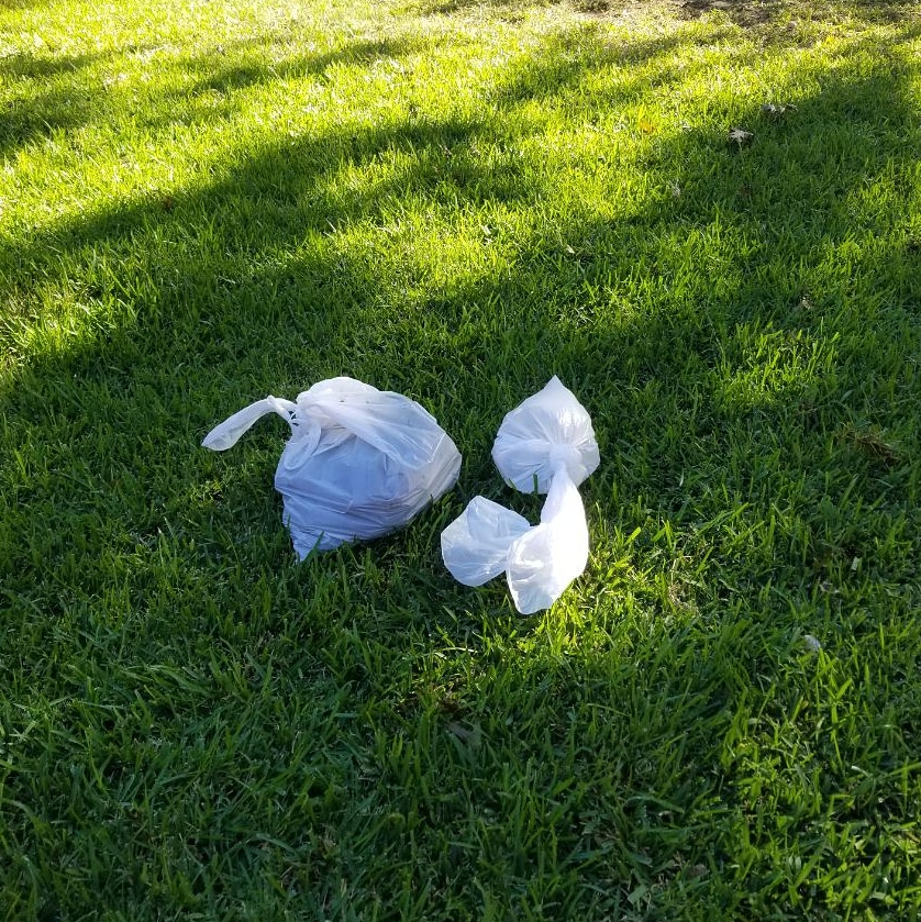 Sparta Pooper Scoopers - Pooper Scooper Service, Pet Waste Removal, Dog Poop Service