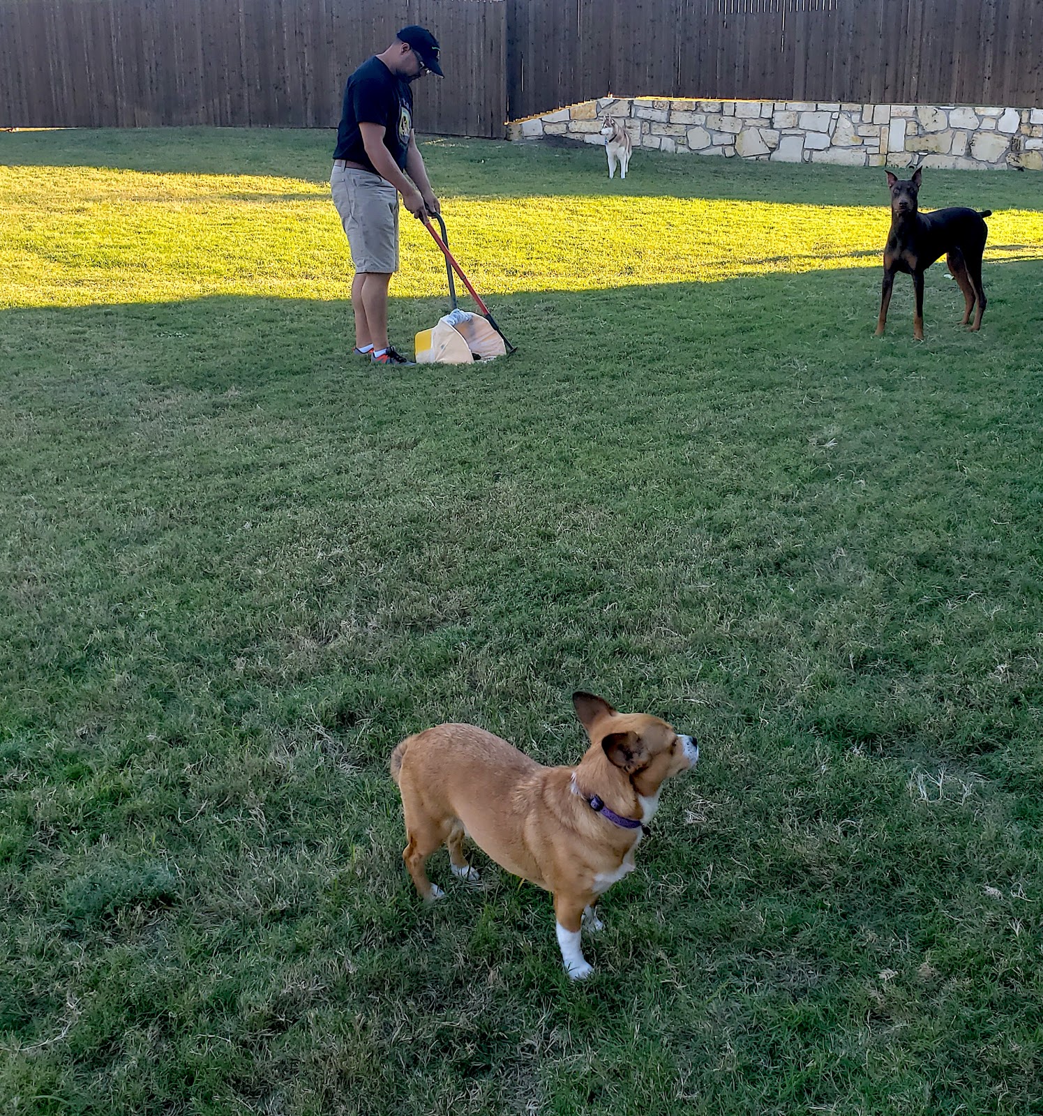 Sparta Pooper Scoopers - Pooper Scooper Service, Pet Waste Removal, Dog Poop Service - Photo 3