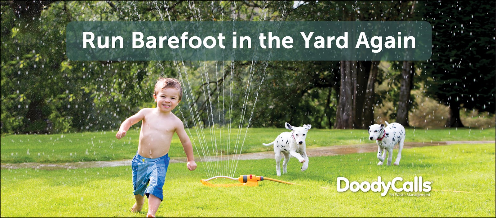 DoodyCalls® of NC Piedmont - Photo 3