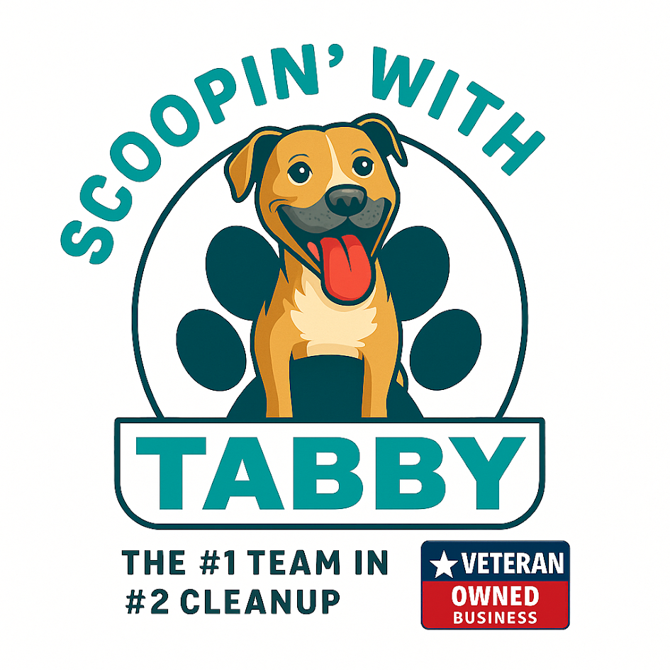 Scoopin' With Tabby
