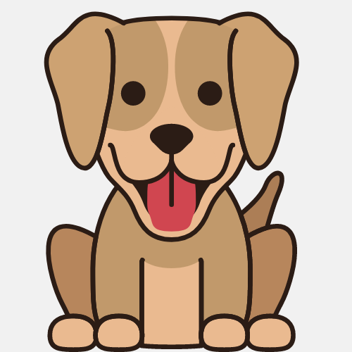 We Scoop Chico - Photo 4