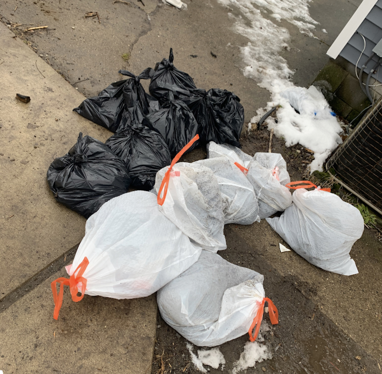 Clean Dogs Do Do (Dog Poop Pickup) - Photo 2