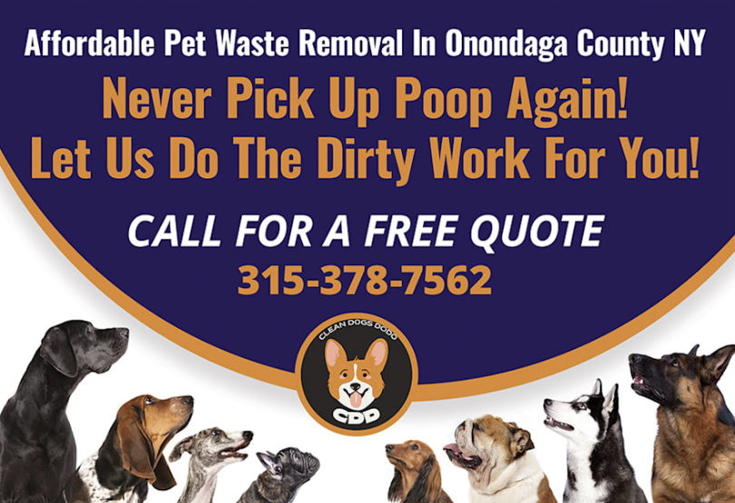 Clean Dogs Do Do (Dog Poop Pickup) - Photo 4