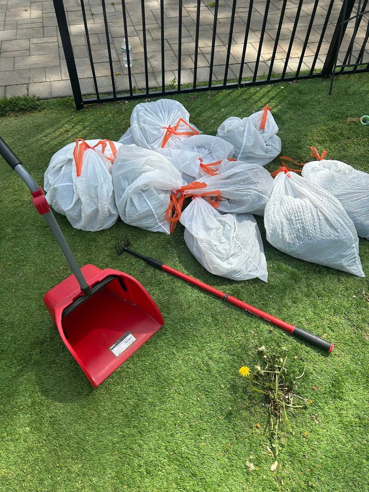 Long Island Dog Waste Removal - Photo 4