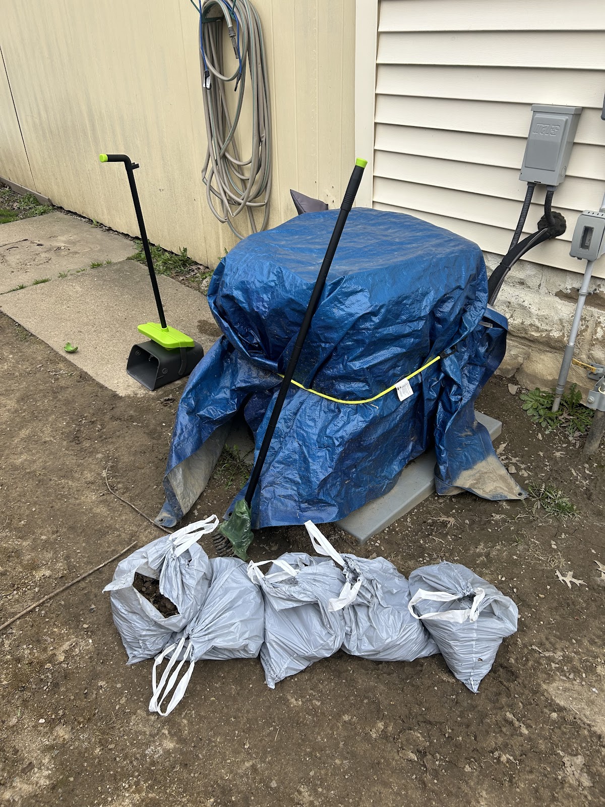 Scoop & Go - Photo 4