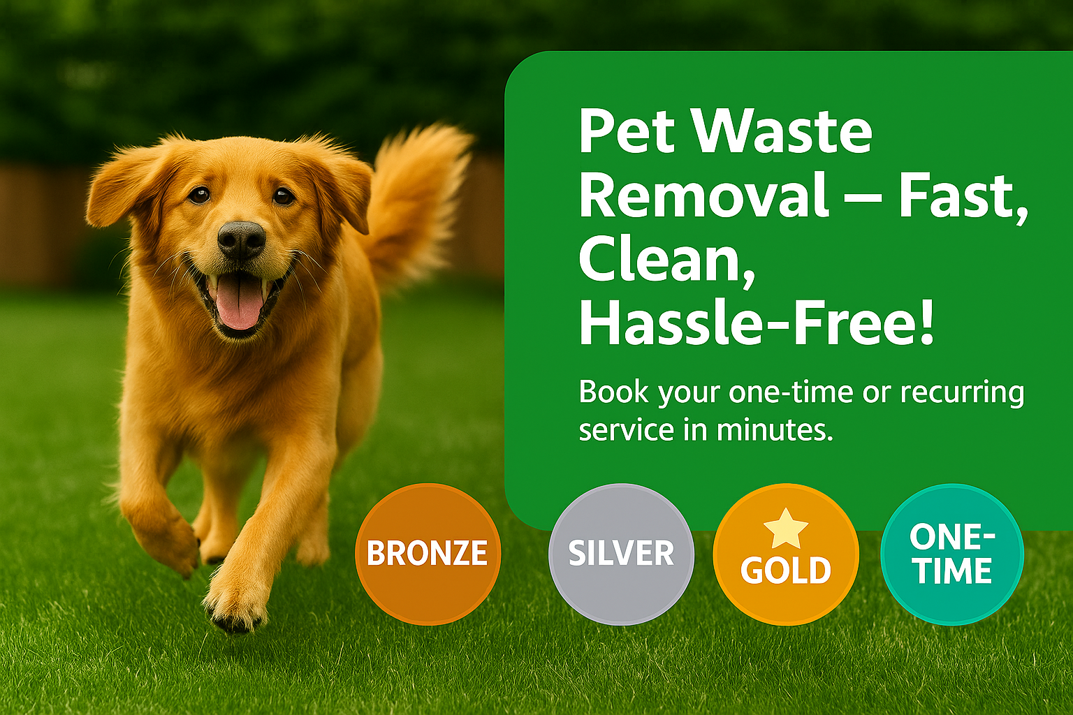 Swift Scoops - Photo 2