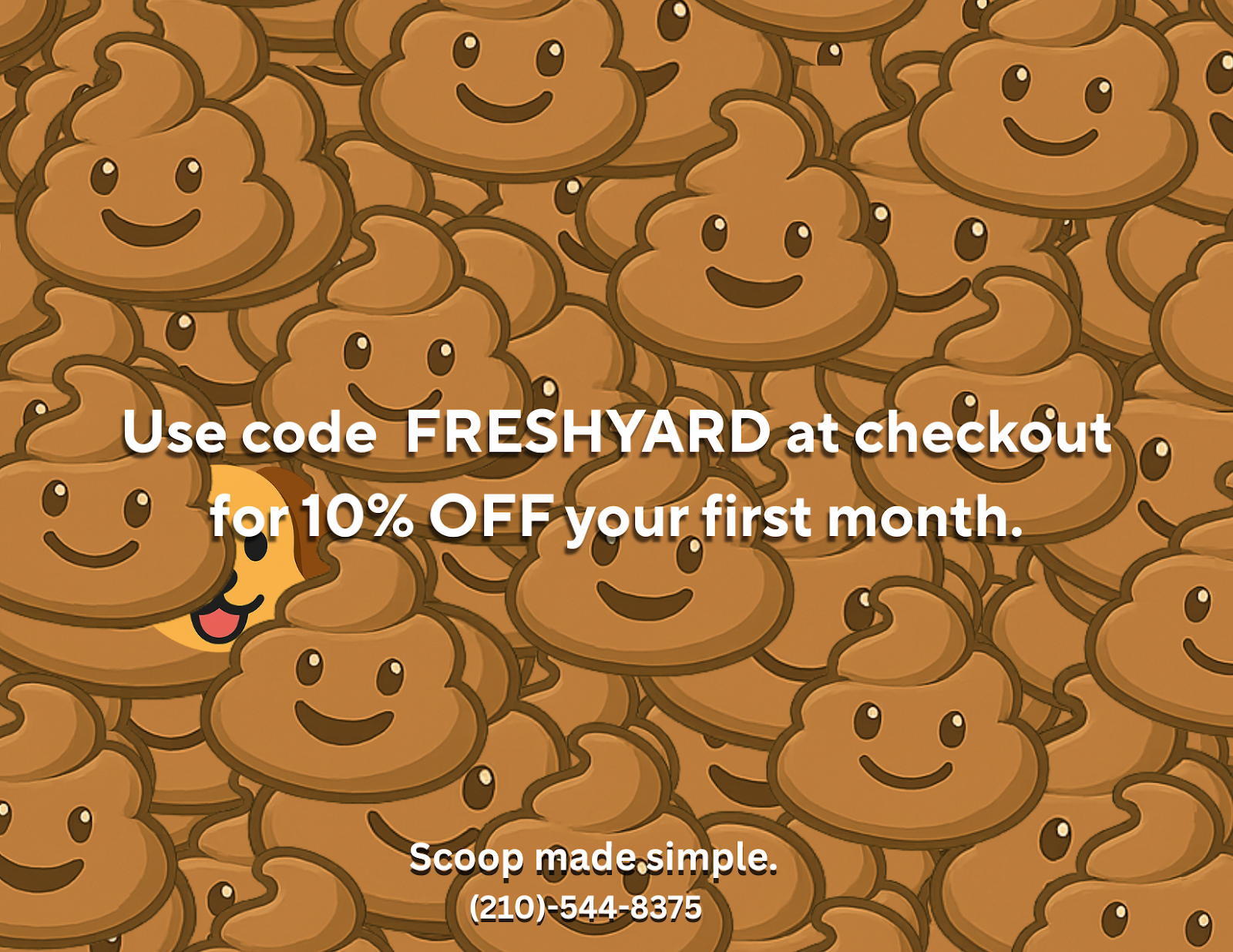 Swift Scoops - Photo 3